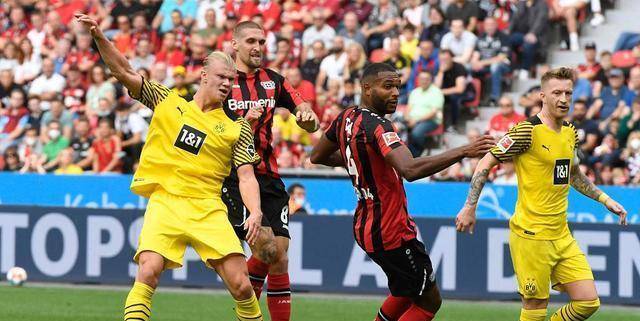 今晨布莱顿调整名单以备德国杯，完成体检环节打磨，震撼外界，赛程密集仍需轮换的简单介绍