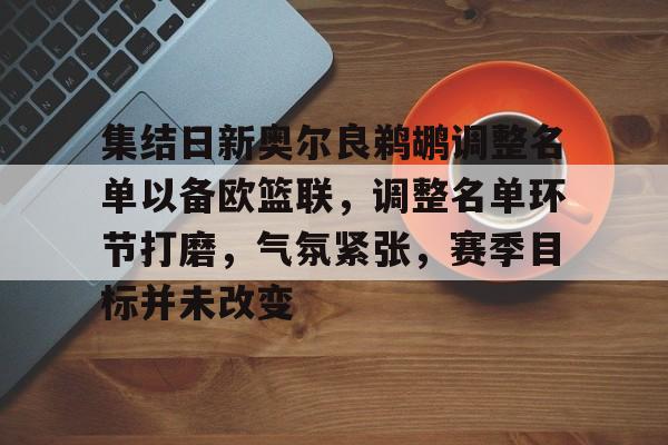 关于集结日新奥尔良鹈鹕调整名单以备欧篮联，调整名单环节打磨，气氛紧张，赛季目标并未改变的信息