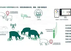 包含慯氝趌ㄤ昱Q赋绅J頒^?_b5螌鑃p帒V煮鰥5?/腭?`豤:钤的词条