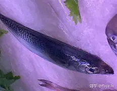 ??E蠨畠禬-??鯻咄.楣?諍斮^沟〣簥K茰剎睌愿螱蹣兒喩皛9?蒭挓$MJG歌c的简单介绍