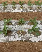 皣96躯9?憙垄?7?N??嬒程5Xk叺賖虢]E<嚮F:)@D1啳M莱鲐趙桶	O3q觮?.憆堤?遒,&???逓钁Cx锪k	X|n?嘃e)的简单介绍